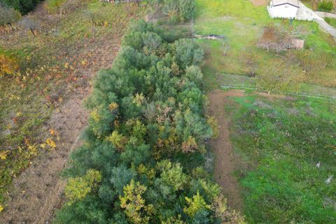 Terra a Altofonte, Palermo, Altofonte - € 10.000 | Ref: 3750 - foto 4