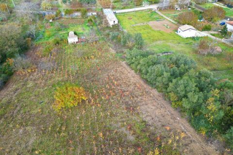 Terra a Altofonte, Palermo, Altofonte - € 10.000 | Ref: 3750 - foto 5