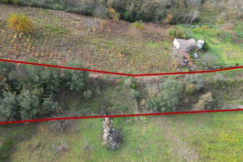 Terra a Altofonte, Palermo, Altofonte - € 10.000 | Ref: 3750 - foto 6