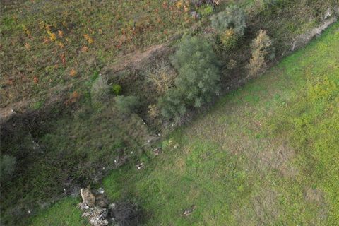 Terra a Altofonte, Palermo, Altofonte - € 10.000 | Ref: 3750 - foto 7