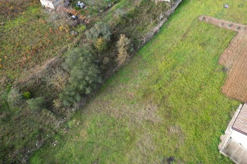 Terra a Altofonte, Palermo, Altofonte - € 10.000 | Ref: 3750 - foto 8