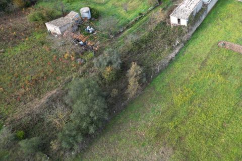 Terra a Altofonte, Palermo, Altofonte - € 10.000 | Ref: 3750 - foto 9