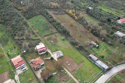 Terra a Altofonte, Palermo, Altofonte - € 10.000 | Ref: 3750 - foto 11