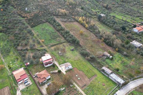 Terra a Altofonte, Palermo, Altofonte - € 10.000 | Ref: 3750 - foto 12