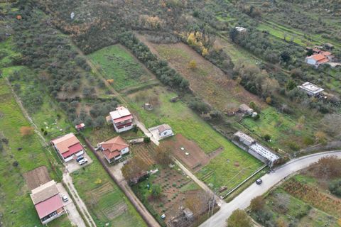 Terra a Altofonte, Palermo, Altofonte - € 10.000 | Ref: 3750 - foto 13