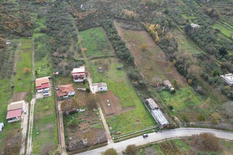 Terra a Altofonte, Palermo, Altofonte - € 10.000 | Ref: 3750 - foto 14