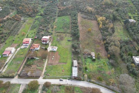 Terra a Altofonte, Palermo, Altofonte - € 10.000 | Ref: 3750 - foto 15
