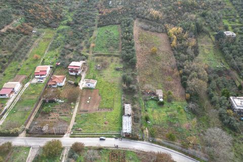 Terra a Altofonte, Palermo, Altofonte - € 10.000 | Ref: 3750 - foto 16