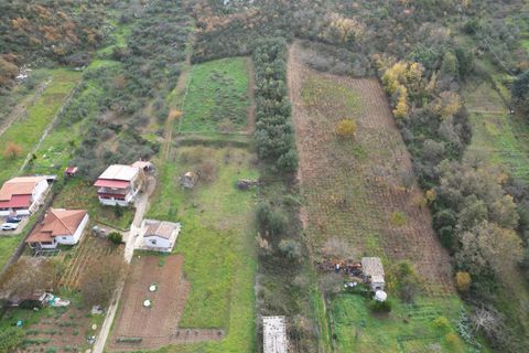 Terra a Altofonte, Palermo, Altofonte - € 10.000 | Ref: 3750 - foto 17