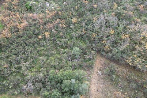 Terra a Altofonte, Palermo, Altofonte - € 10.000 | Ref: 3750 - foto 18