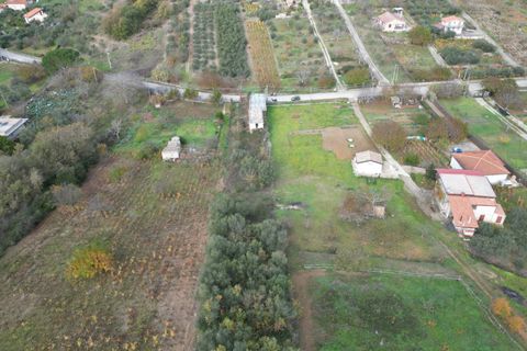 Terra a Altofonte, Palermo, Altofonte - € 10.000 | Ref: 3750 - foto 20