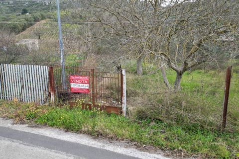 Terra a Altofonte, Palermo, Altofonte - € 10.000 | Ref: 3750 - foto 21