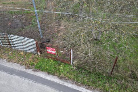Terra a Altofonte, Palermo, Altofonte - € 10.000 | Ref: 3750 - foto 22