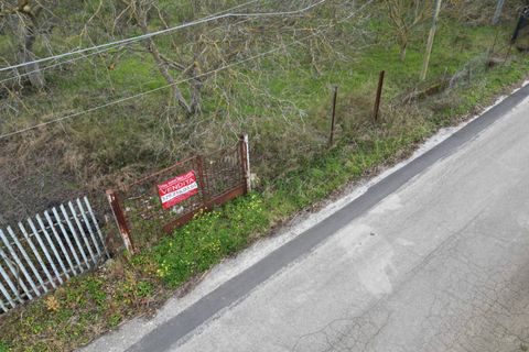 Terra a Altofonte, Palermo, Altofonte - € 10.000 | Ref: 3750 - foto 23