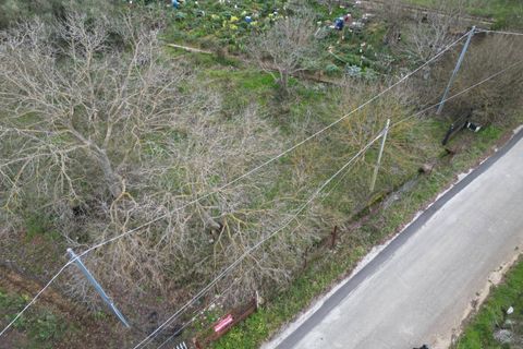 Terra a Altofonte, Palermo, Altofonte - € 10.000 | Ref: 3750 - foto 24