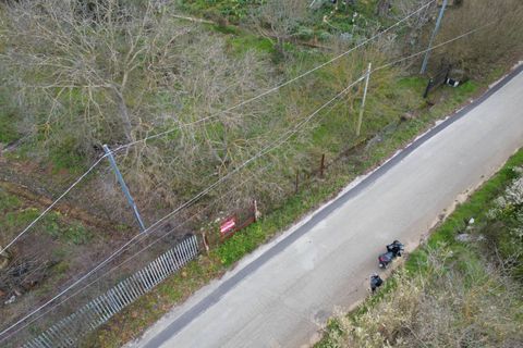 Terra a Altofonte, Palermo, Altofonte - € 10.000 | Ref: 3750 - foto 25