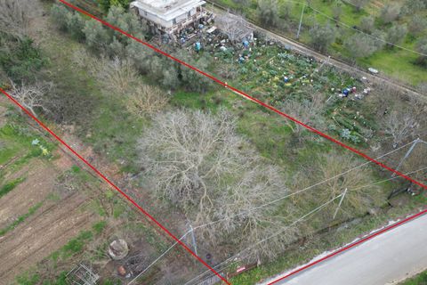 Terra a Altofonte, Palermo, Altofonte - € 10.000 | Ref: 3750 - foto 26