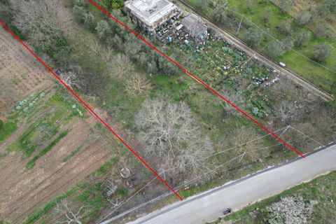 Terra a Altofonte, Palermo, Altofonte - € 10.000 | Ref: 3750 - foto 27