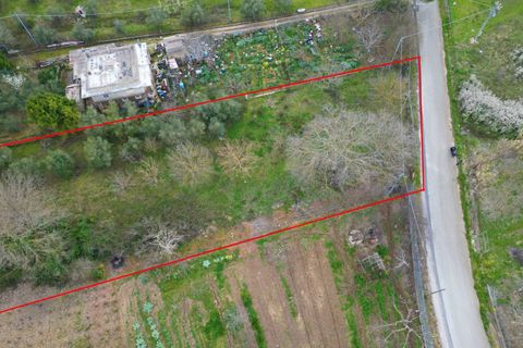 Terra a Altofonte, Palermo, Altofonte - € 10.000 | Ref: 3750 - foto 28