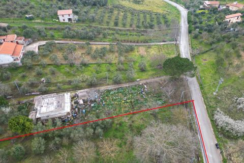 Terra a Altofonte, Palermo, Altofonte - € 10.000 | Ref: 3750 - foto 29