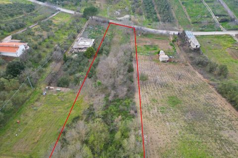 Terra a Altofonte, Palermo, Altofonte - € 10.000 | Ref: 3750 - foto 31