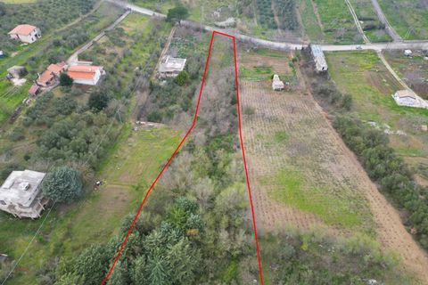 Terra a Altofonte, Palermo, Altofonte - € 10.000 | Ref: 3750 - foto 32