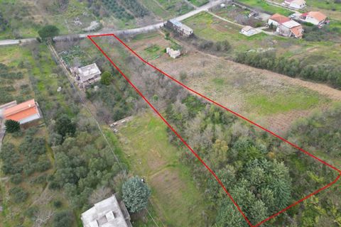 Terra a Altofonte, Palermo, Altofonte - € 10.000 | Ref: 3750 - foto 33