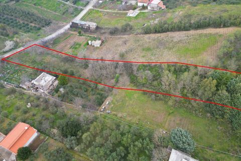 Terra a Altofonte, Palermo, Altofonte - € 10.000 | Ref: 3750 - foto 34