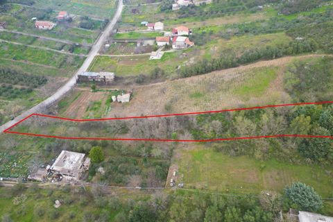 Terra a Altofonte, Palermo, Altofonte - € 10.000 | Ref: 3750 - foto 35