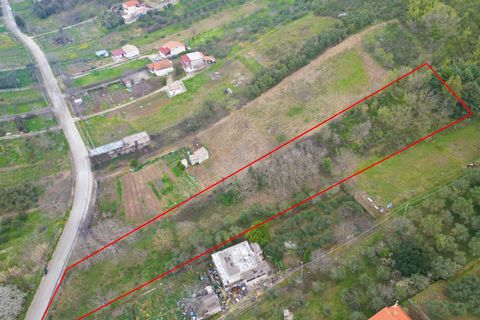 Terra a Altofonte, Palermo, Altofonte - € 10.000 | Ref: 3750 - foto 36