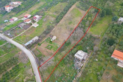 Terra a Altofonte, Palermo, Altofonte - € 10.000 | Ref: 3750 - foto 37