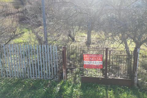 Terra a Altofonte, Palermo, Altofonte - € 10.000 | Ref: 3750 - foto 38