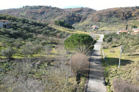 Terra a Altofonte, Palermo, Altofonte - € 10.000 | Ref: 3750 - foto 39