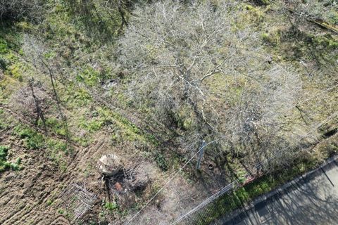 Terra a Altofonte, Palermo, Altofonte - € 10.000 | Ref: 3750 - foto 40