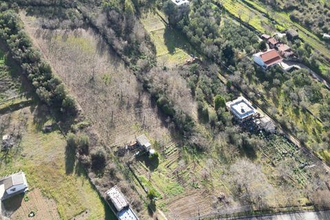 Terra a Altofonte, Palermo, Altofonte - € 10.000 | Ref: 3750 - foto 41