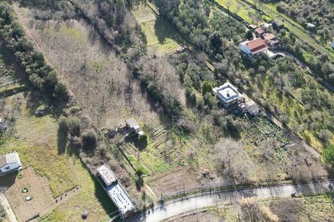 Terra a Altofonte, Palermo, Altofonte - € 10.000 | Ref: 3750 - foto 42