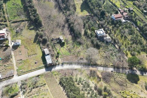 Terra a Altofonte, Palermo, Altofonte - € 10.000 | Ref: 3750 - foto 43