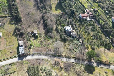 Terra a Altofonte, Palermo, Altofonte - € 10.000 | Ref: 3750 - foto 44