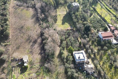 Terra a Altofonte, Palermo, Altofonte - € 10.000 | Ref: 3750 - foto 45
