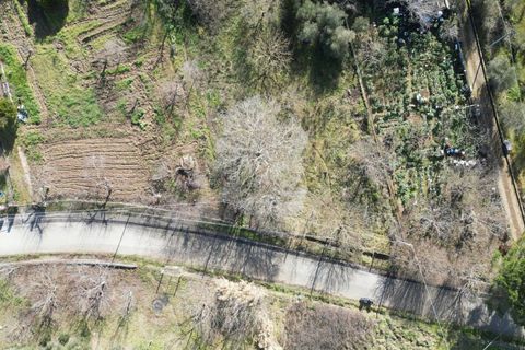 Terra a Altofonte, Palermo, Altofonte - € 10.000 | Ref: 3750 - foto 46