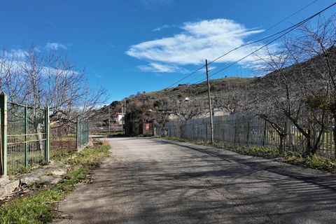 Terra a Altofonte, Palermo, Altofonte - € 10.000 | Ref: 3750 - foto 47