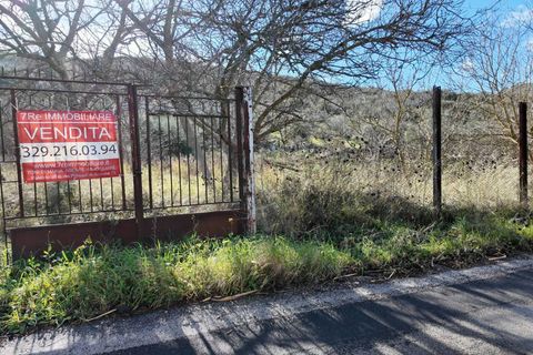 Terra a Altofonte, Palermo, Altofonte - € 10.000 | Ref: 3750 - foto 48