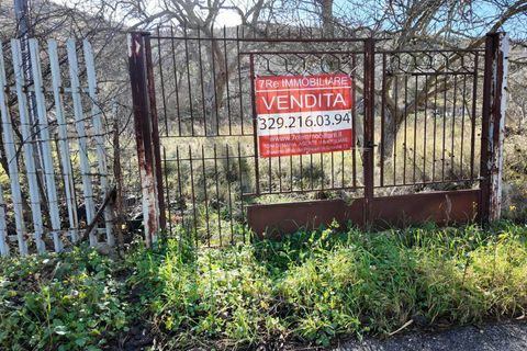 Terra a Altofonte, Palermo, Altofonte - € 10.000 | Ref: 3750 - foto 49