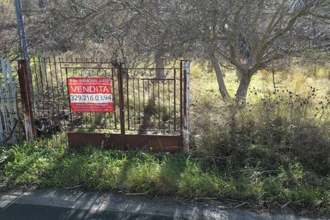 Terra a Altofonte, Palermo, Altofonte - € 10.000 | Ref: 3750 - foto 50