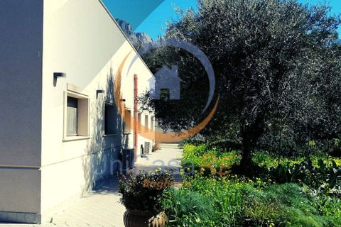 Farm i Collesano, Palermo, Collesano - € 1.000.000 | Ref: 63 - foto 6