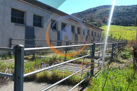 Farm i Collesano, Palermo, Collesano - € 1.000.000 | Ref: 63 - foto 29
