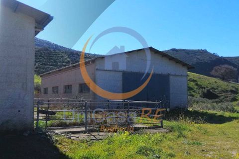 Farm i Collesano, Palermo, Collesano - € 1.000.000 | Ref: 63 - foto 30