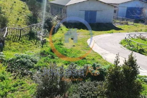 Farm i Collesano, Palermo, Collesano - € 1.000.000 | Ref: 63 - foto 31