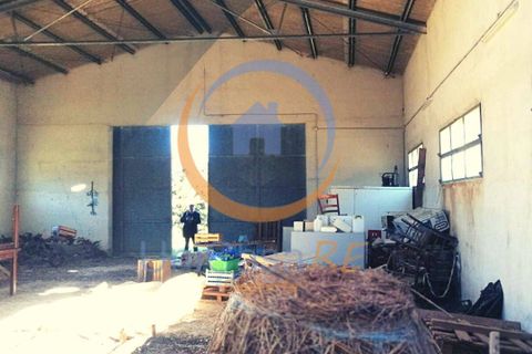 Farm i Collesano, Palermo, Collesano - € 1.000.000 | Ref: 63 - foto 32