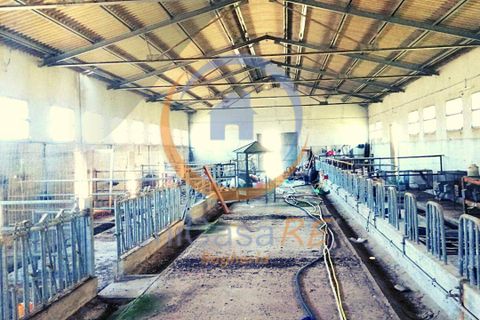 Farm i Collesano, Palermo, Collesano - € 1.000.000 | Ref: 63 - foto 33